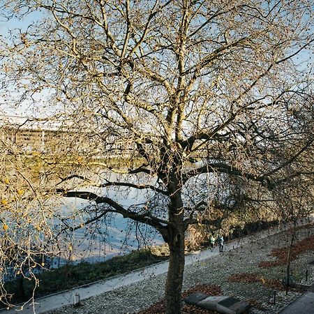 The Rhuys - Cosy-Balcony With Superb Loire View - All On Foot - Parking Apartment Nantes Bagian luar foto